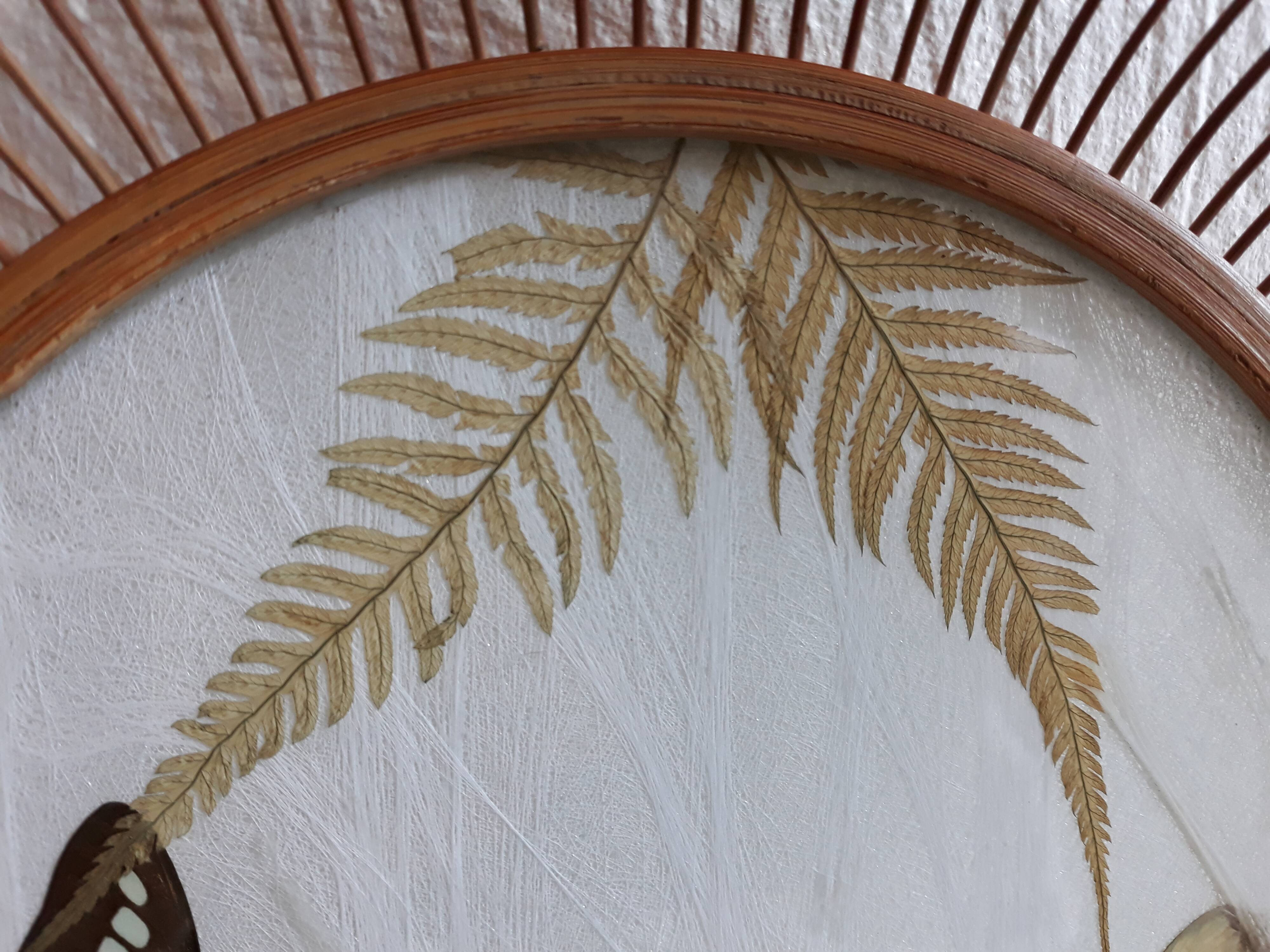 Butterfly serving plate