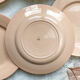 7 Flat plates Rose Digoin Sarreguemines