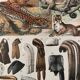 Lithograph engraving on furs from 1907 (lion)
