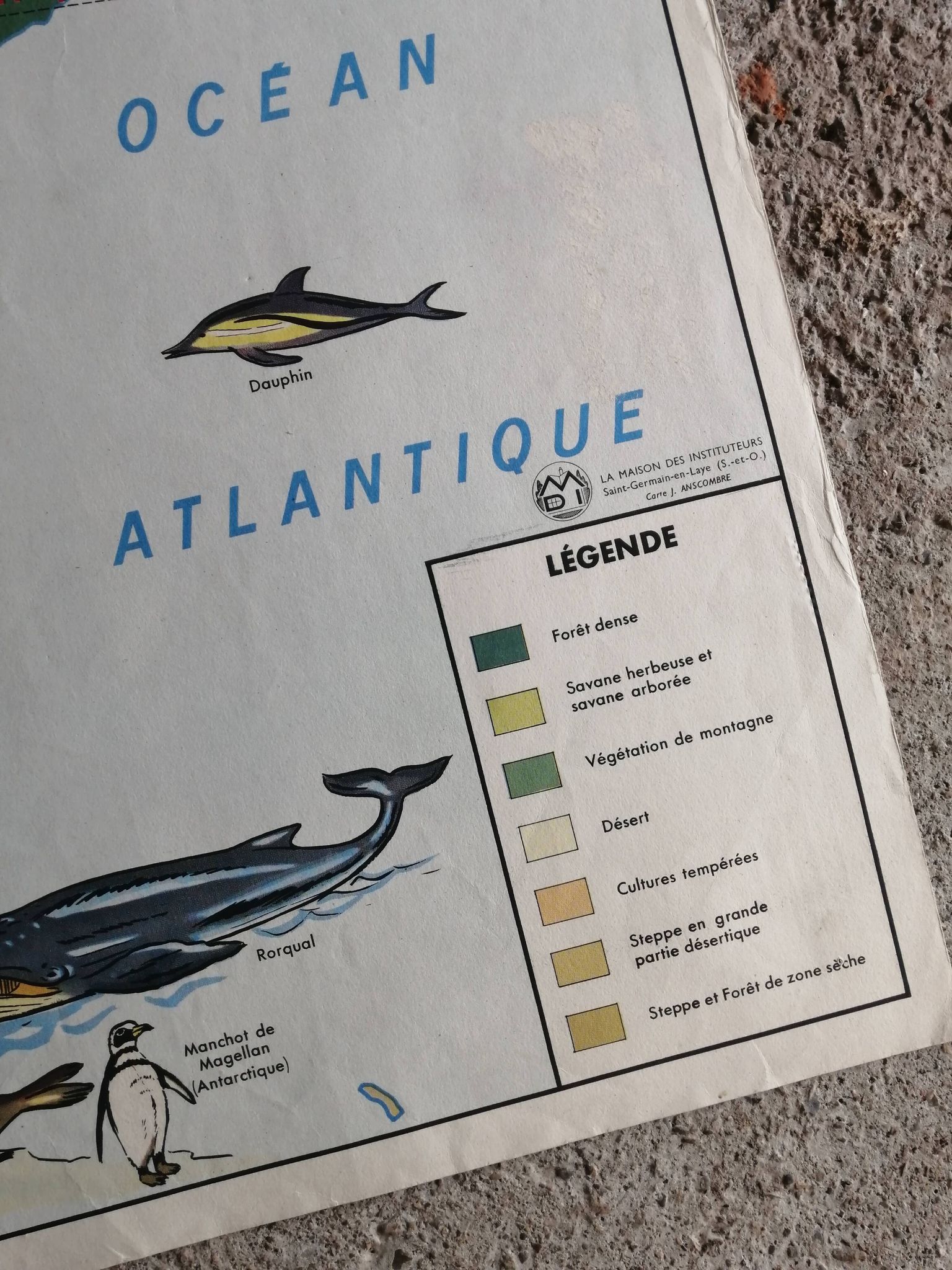 MDI school map: SOUTH AMERICA - OCEANIA fauna vegetation.