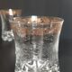 Whiskey Glasses Engraved Tumblers