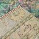 2x8 Multicolor Vintage Runner Rug, 80x248Cm