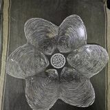 Cristal d'Arques fruit basket