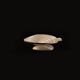 Shell ashtray