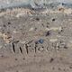 6 plates signed Gustave Tiffoche vintage pyrite glazed stoneware