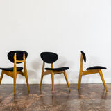 Set of 3 chairs by Juliusz Kędziorek 1960's