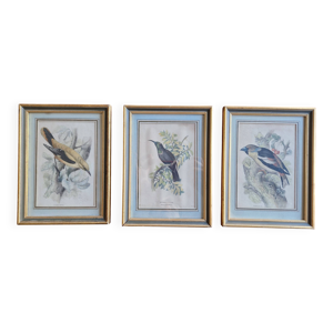 3 gravures Oiseaux Lidzars