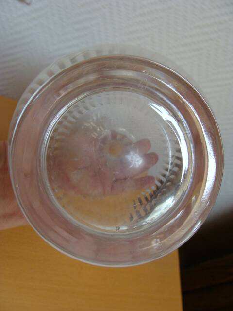 Vintage Crystal Carafe / Renaissance