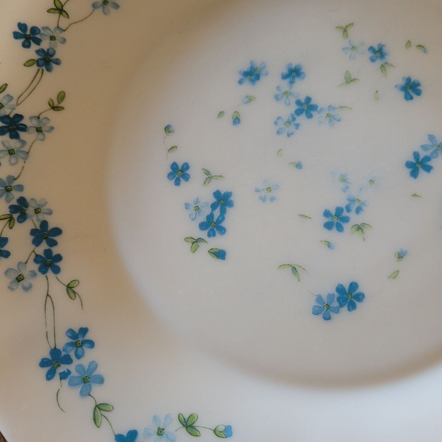4 flat plates Arcopal Forget-me-not
