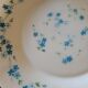 4 assiettes plates Arcopal Myosotis