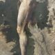 Male nude academy study