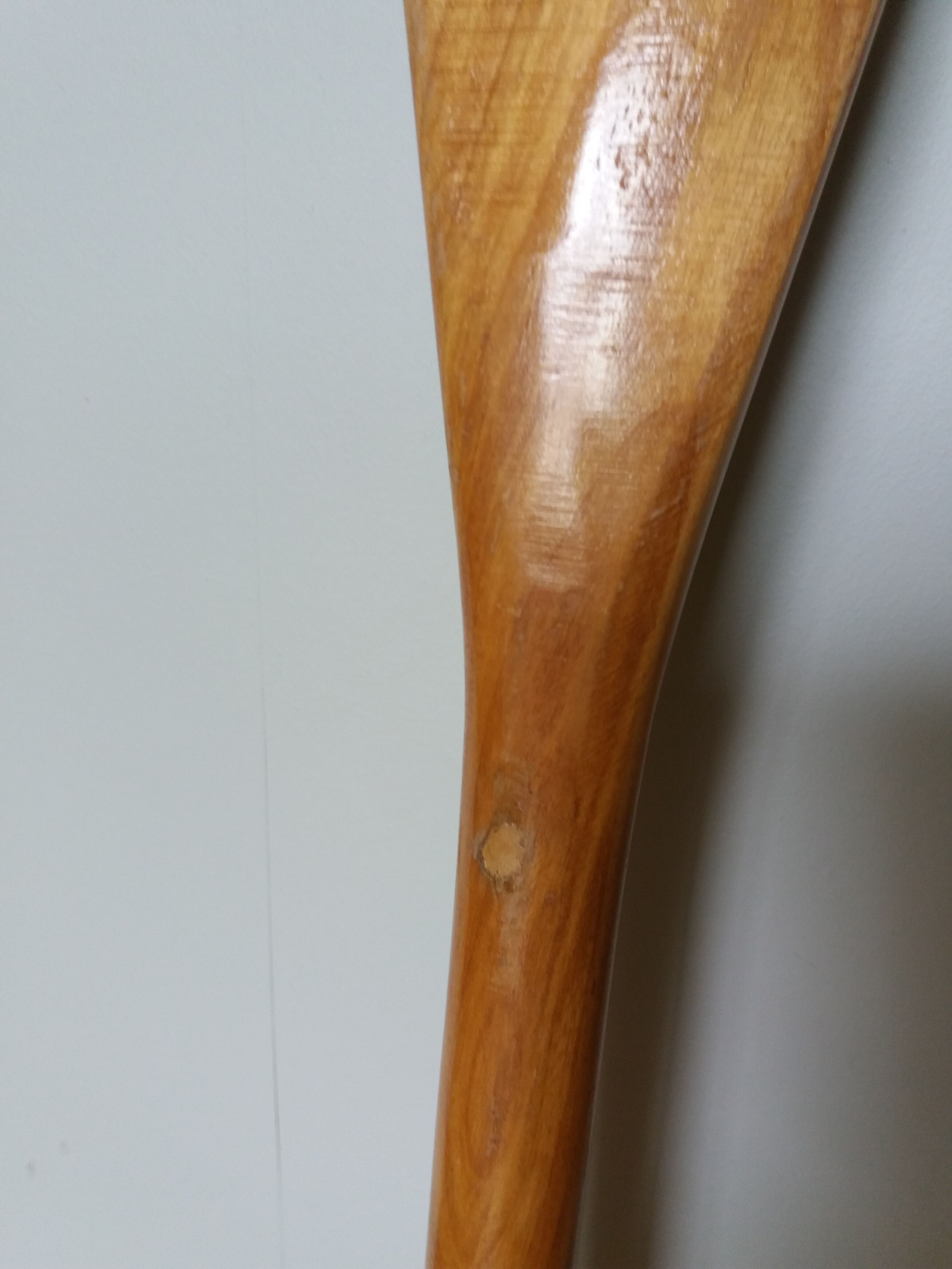 Paddles Native American rows