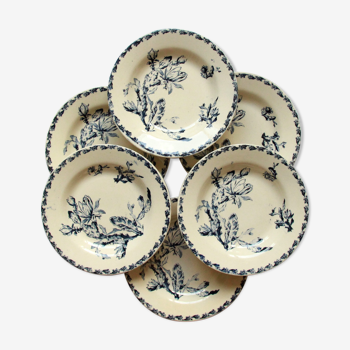 Set of 6 hollow plates iron earth Gien Cactus blue porcelain opaque old 19 th earthenware