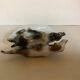 Chiens en porcelaine
