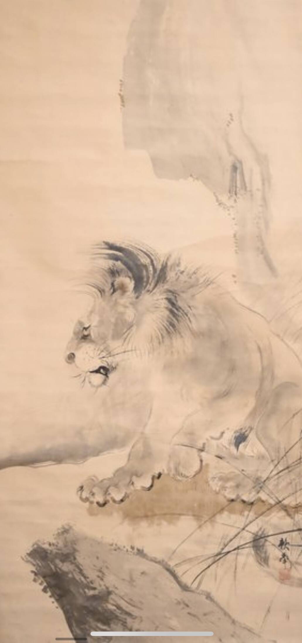 Lion - Japan - Signed Wada Raikyo (1896-1939)