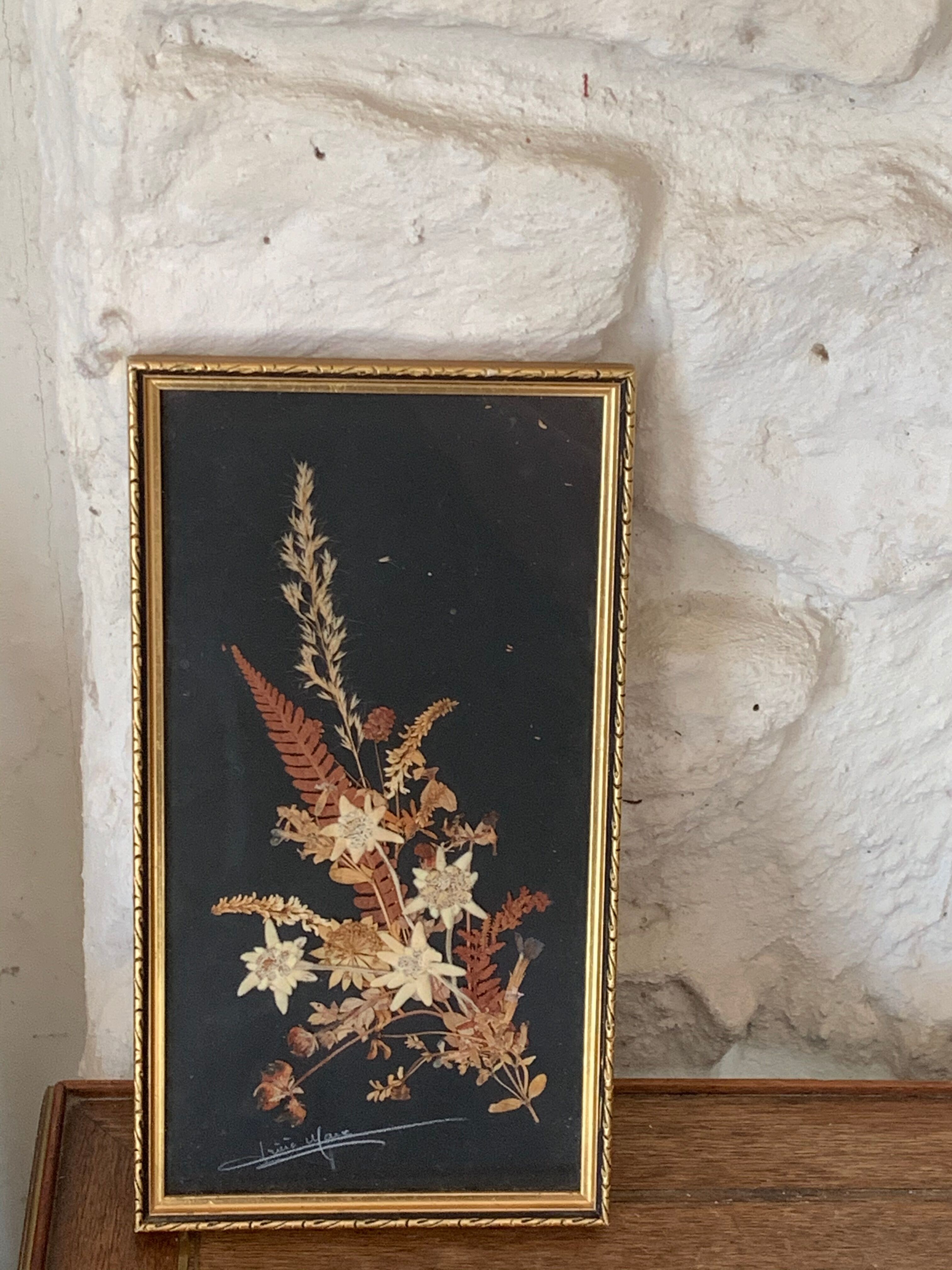 Cadre herbier fleurs séchées et edelweiss vintage