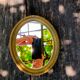 Oval wooden mirror 60s - 22x18cm