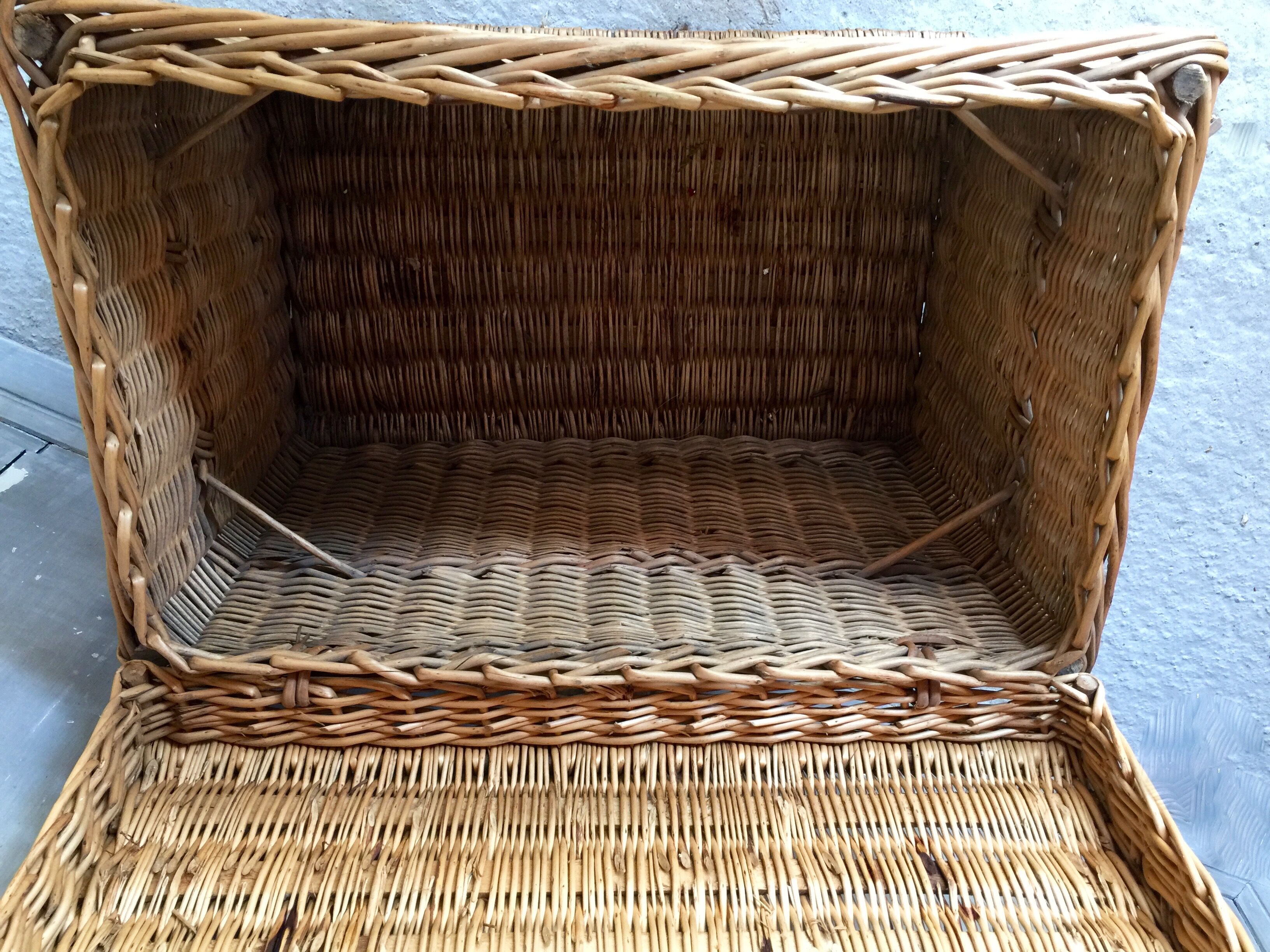 Wicker trunk