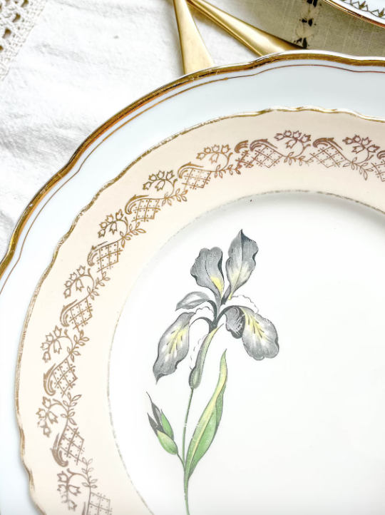 Porcelain dinner service for 6 people