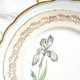 Porcelain dinner service for 6 people