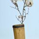 Primitive storage barrel/vase, circa 1900