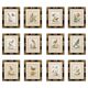 12 hand-coloured ornithological engravings from 1740 by George Edwards.