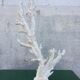 Coral branch 46 x 31 cm on alabaster marble base