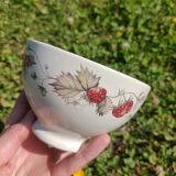 Strawberry bowl