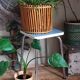 Pot cover basket Art-popular bamboo and scoubidou 50s