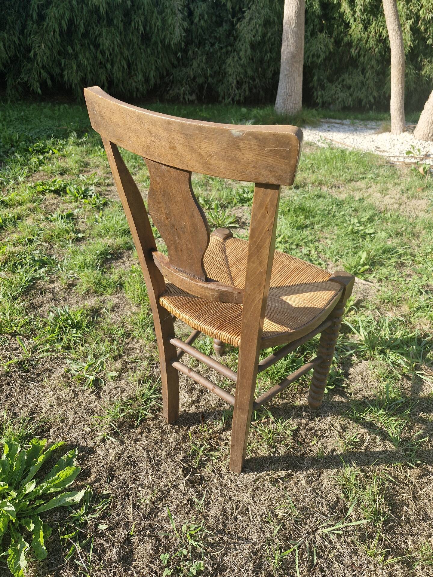 Chaise en bois