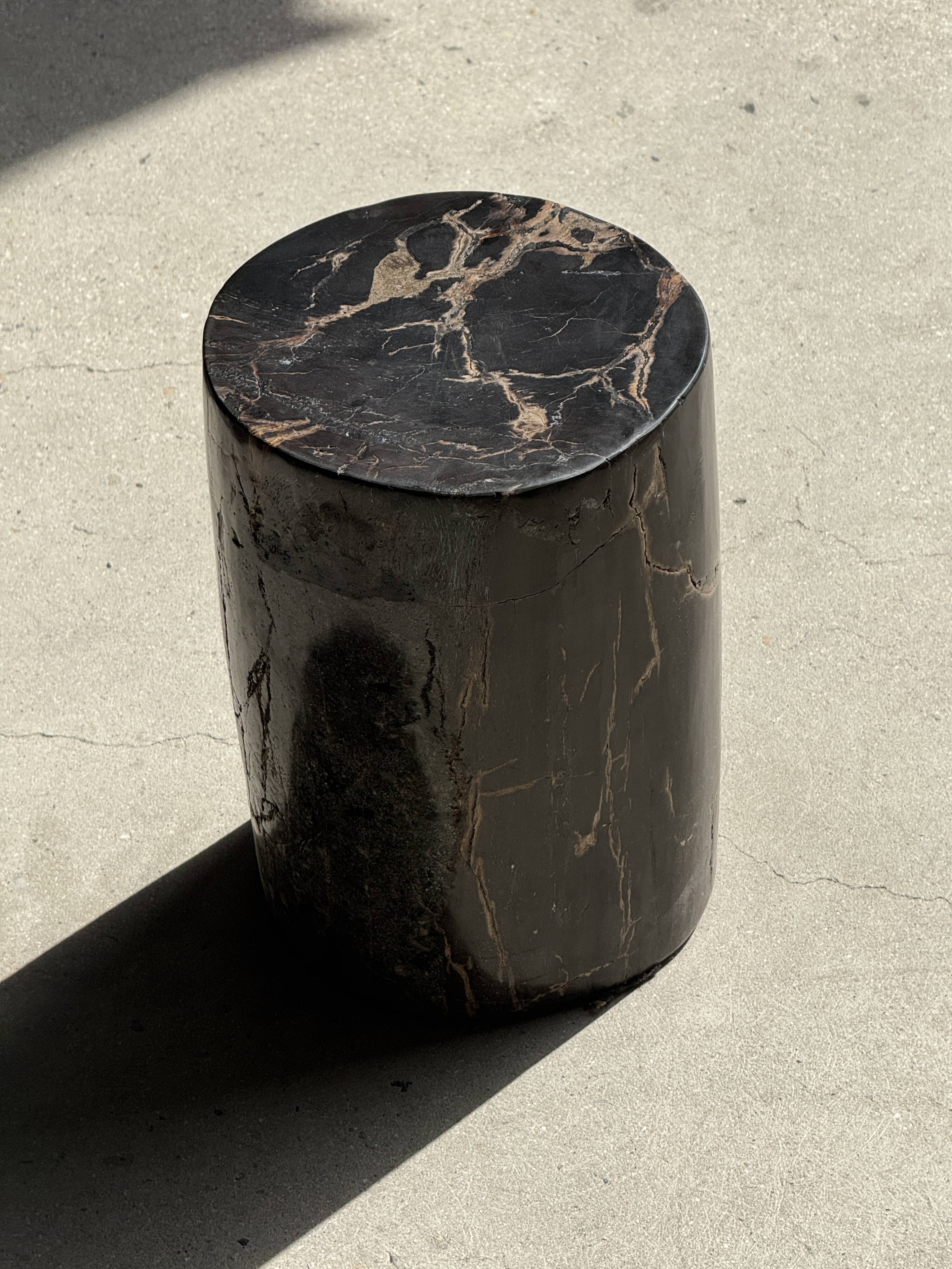 Table d'appoint en bois pétrifié noir