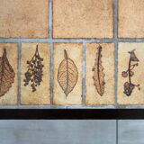 Herbarium Coffee Table by Roger Capron, Vallauris, 1970s