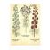 Old illustration 1959 - Maryland Spigelia. Botanical plate, flower.