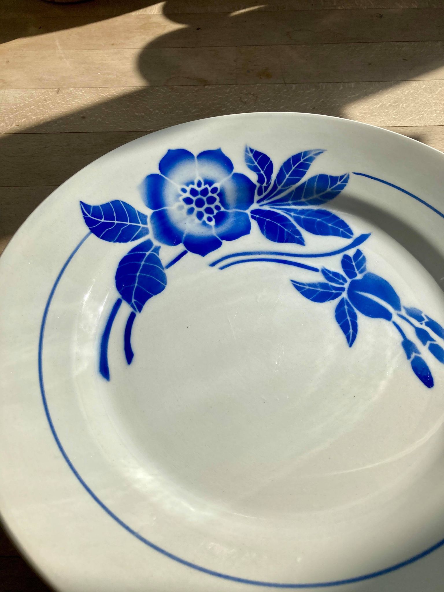 Lot of 5 plates Digoin Sarreguemines model Flora