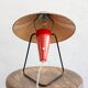 Mid Century Czech Table Lamp by Helena Frantova for Okolo, 1950s