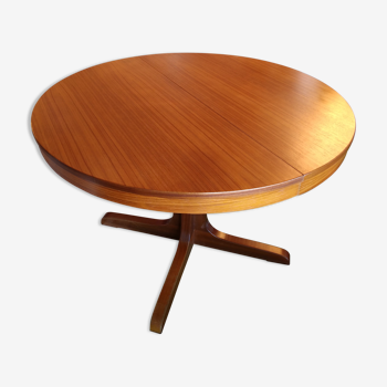 Scandinavian style table with extension