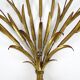 Set of 3 french wheat sheaf wall lamps, 1970s