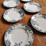 Old flat plates Marie-Louise