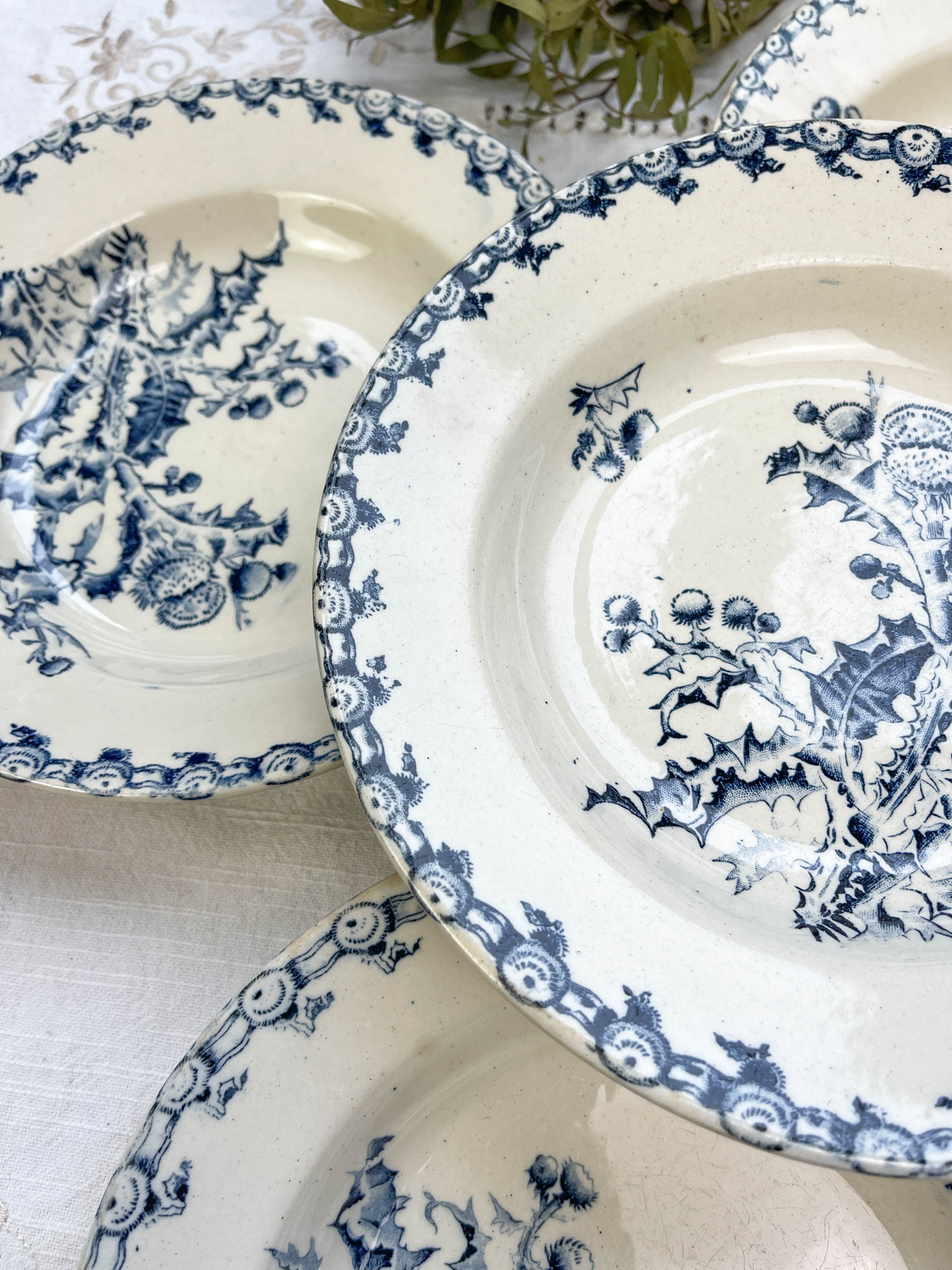 5 assiettes creuses terre de fer gien modèle chardons made in france