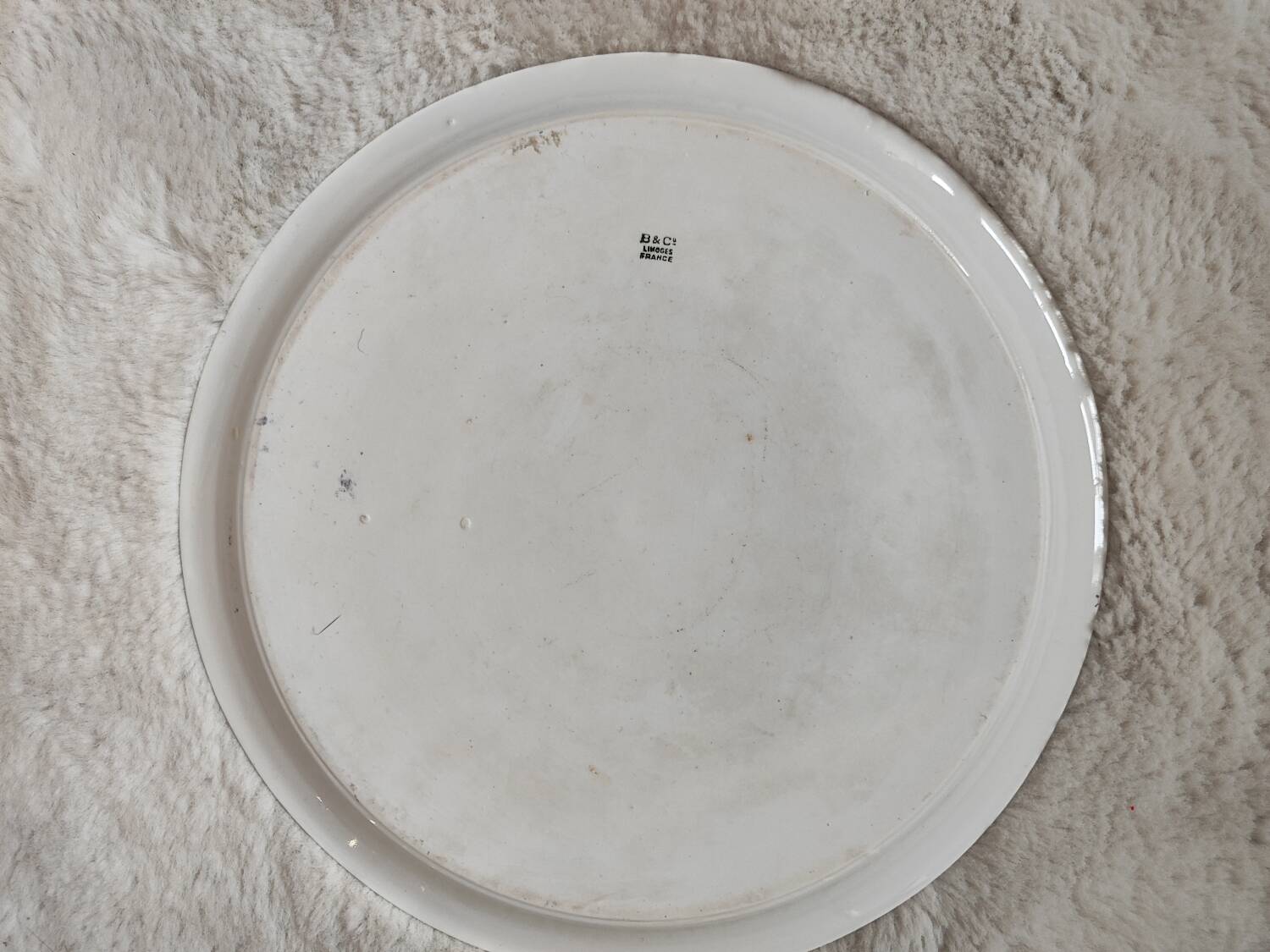 Plat en porcelaine à fleur
