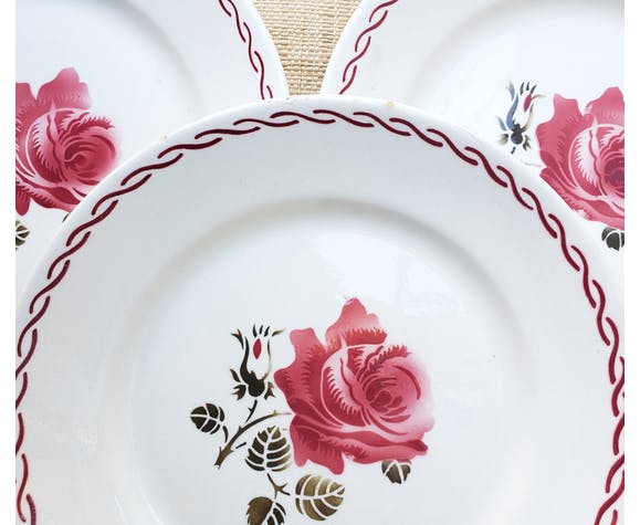 Set of 6 flat plates