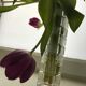 Vintage Vase • Hand Cut Crystal • Bauhaus • Schott Zwiesel • 1950