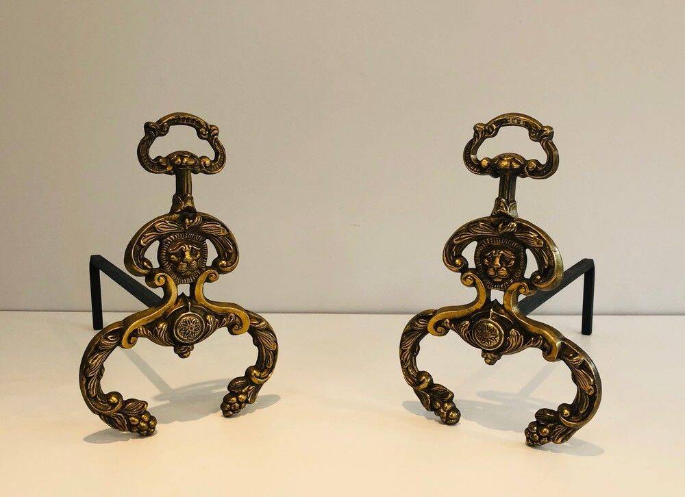 Pair of neoclassical andirons in bronze and wrought iron