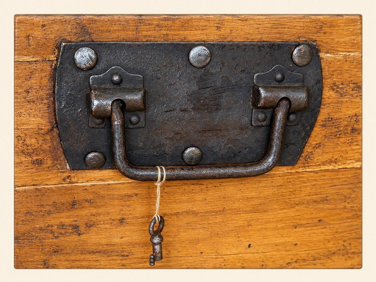 19th Century Domed Travel Trunk – Wood, Brass, Leather – Restored