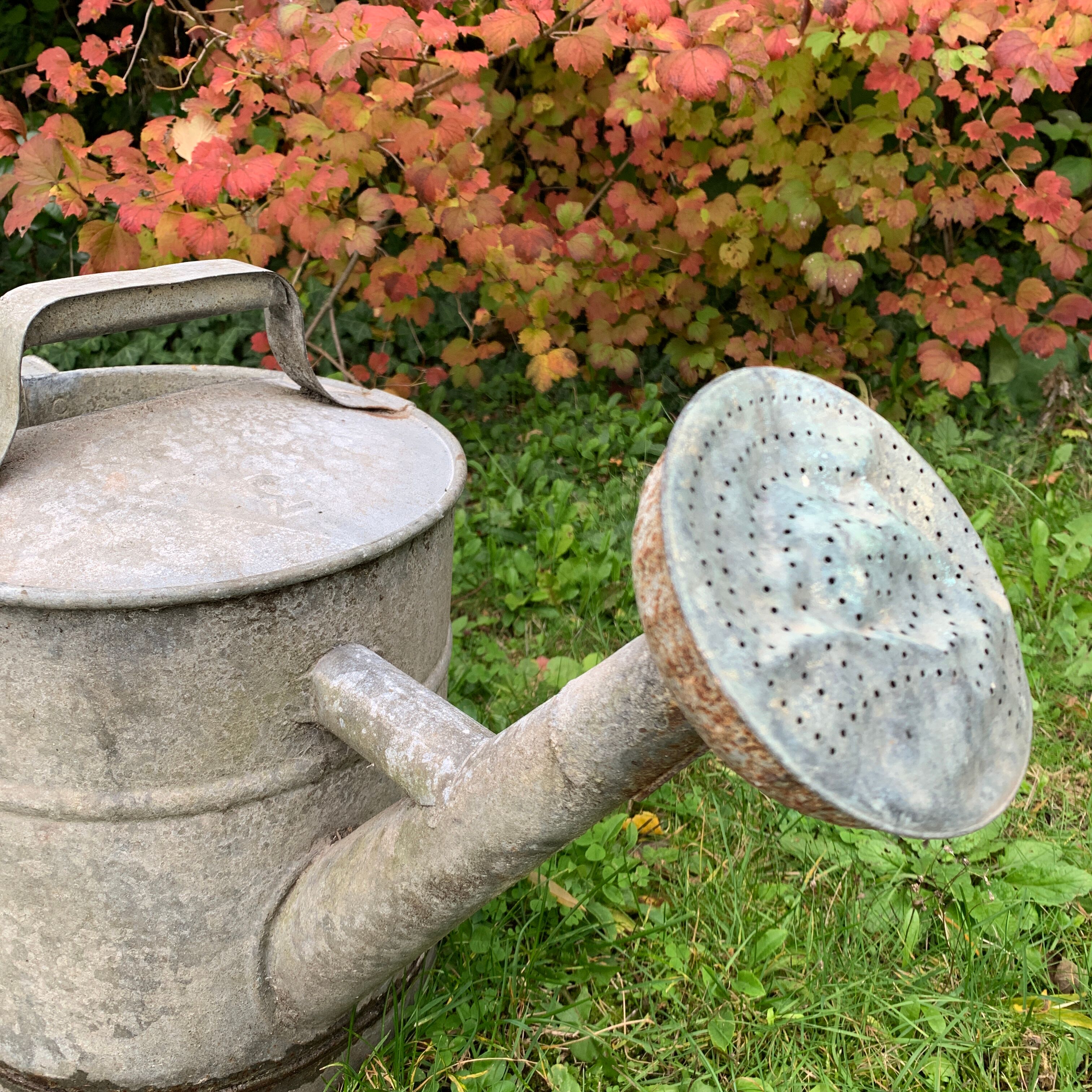 Zinc watering can