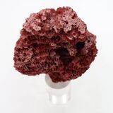 Red coral on resin base, 1970s
