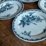 The 6 sarreguemines plates