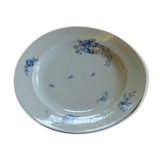 Dish porcelain