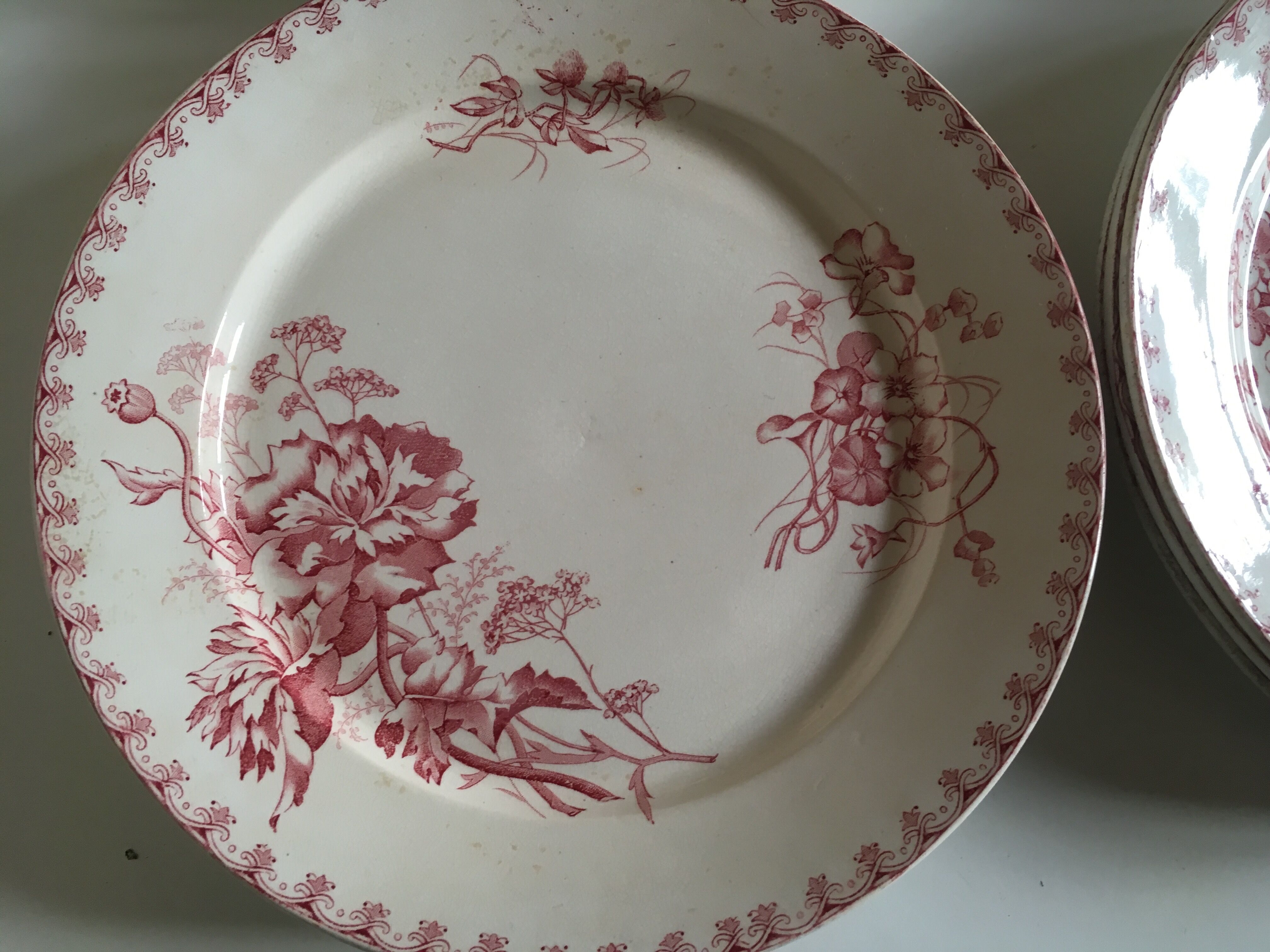 Set of 12 dinner plates of Sarreguemines land of iron décor Vega early 20th
