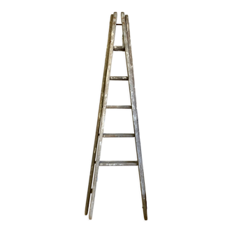 Double painter's stepladder